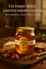 x2 Miel Multifloral 230ml - 100% Natural