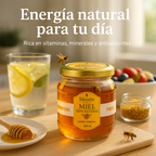 x2 Miel Multifloral 230ml - 100% Natural