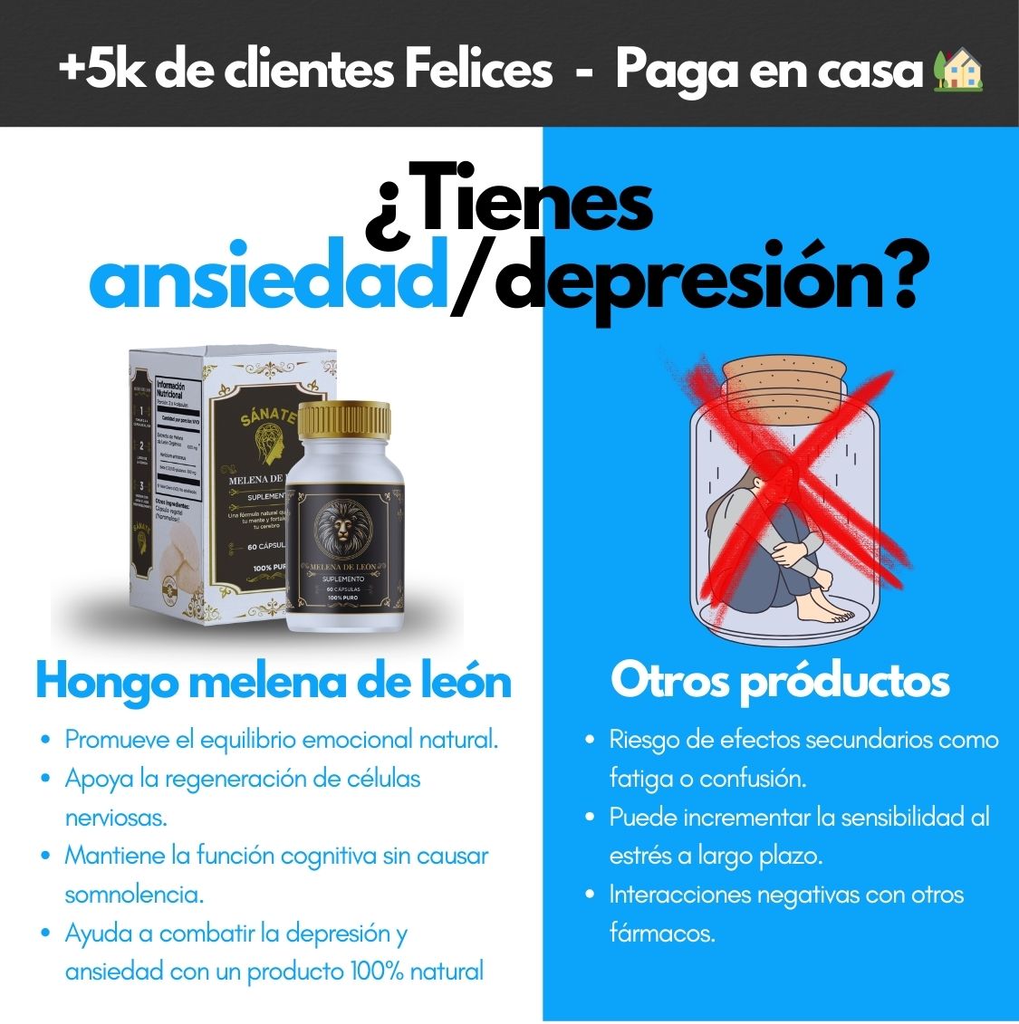 Melena de Leon Organica Premium ³⁰⁰ᵐᵍ