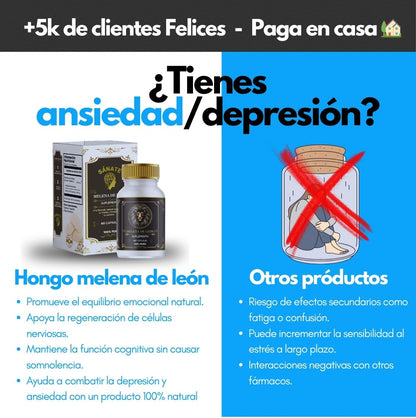 Melena de Leon Organica Premium ³⁰⁰ᵐᵍ