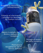 Aniversario Melena de León x2 Cajas - Premium