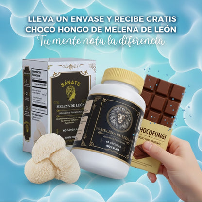 Melena de Leon Organica Premium ³⁰⁰ᵐᵍ