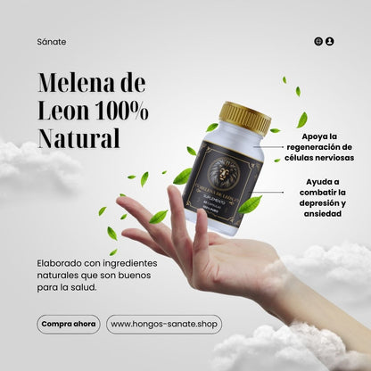 Melena de Leon Organica Premium ³⁰⁰ᵐᵍ